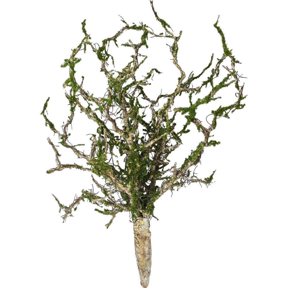 botte de branches 'twig' avec mousse