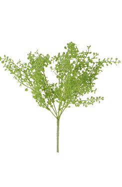 teaplant