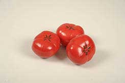 [0054202] tomato
