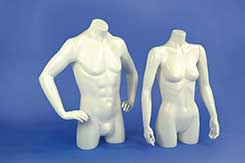torso male '6th Avenue'