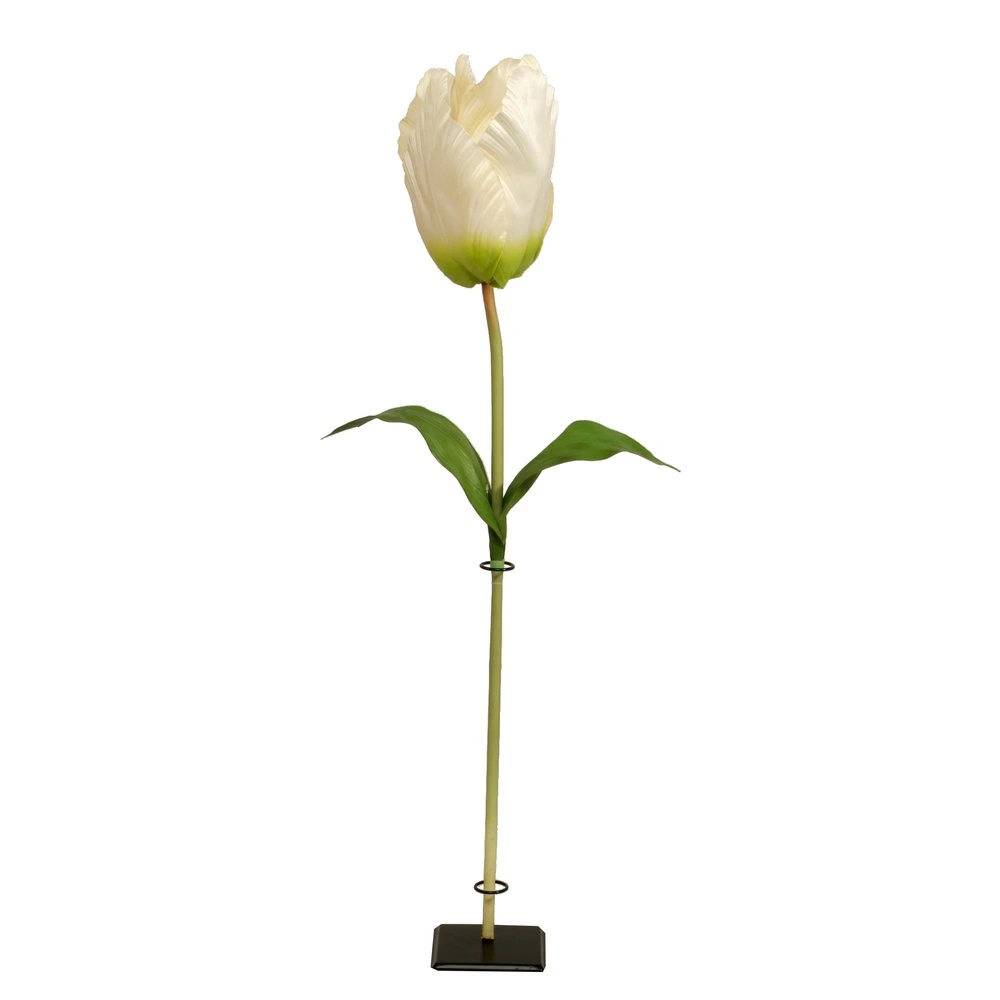 tulip XL