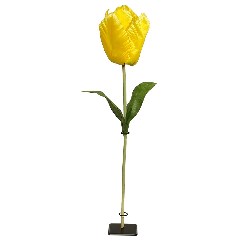 tulp XL