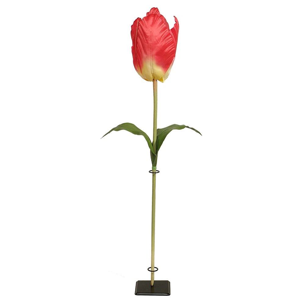 tulip XL