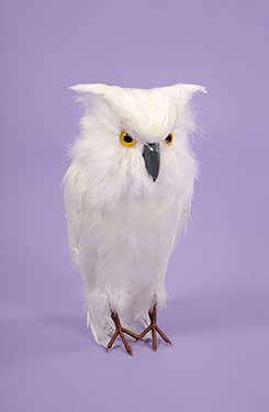[0684986] hibou
