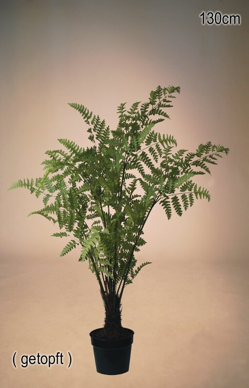 [0685945] varen in pot