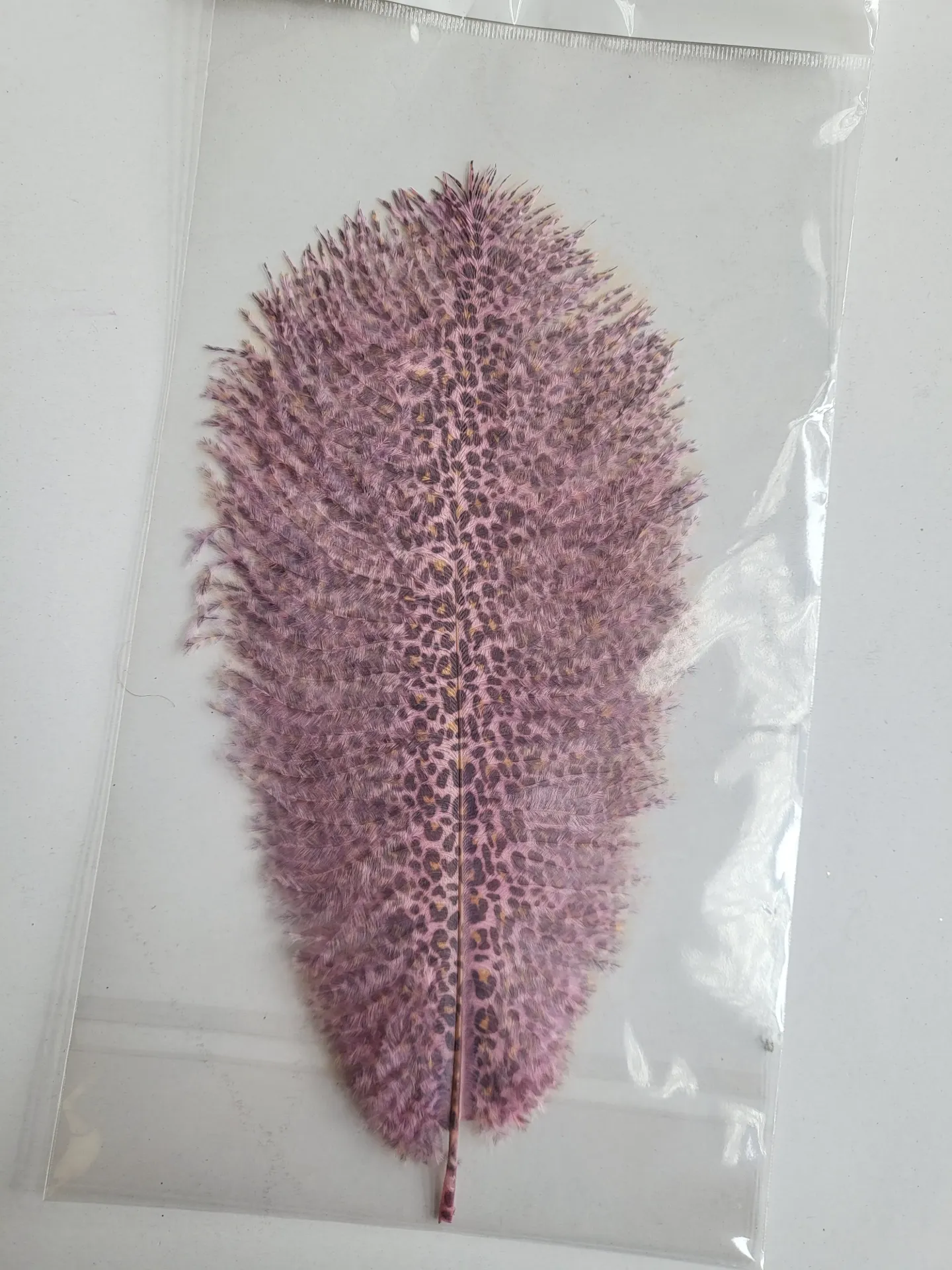 [0084185] feather 'african'