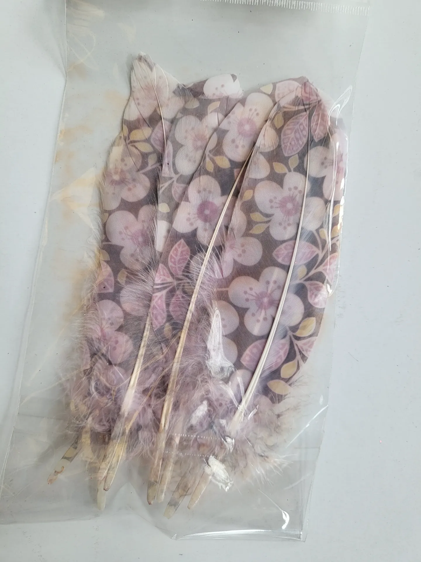 [0084182] plumes 'flowers'