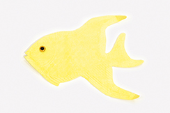 fish 'paper'