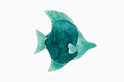 fish 'sam aqua'