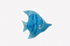 [0682153] fish 'sam aqua' (blue)