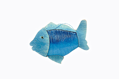 [0682151] fish 'suzi aqua' (blue)