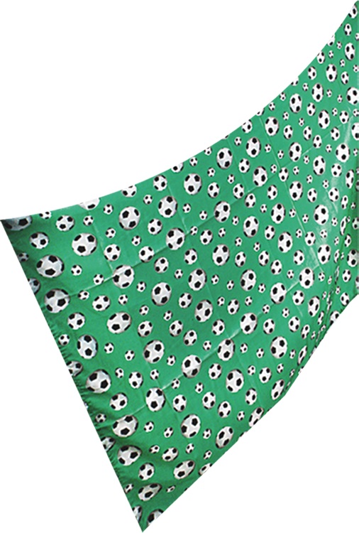 [0688819] drapeau football