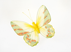 vlinder 'briljant'