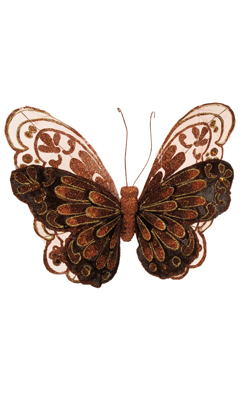 butterfly on clip