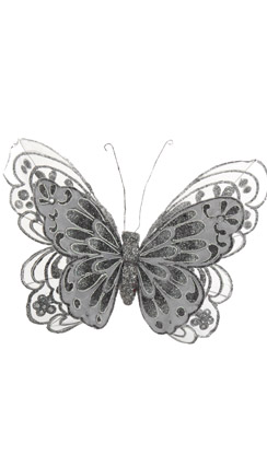 butterfly on clip