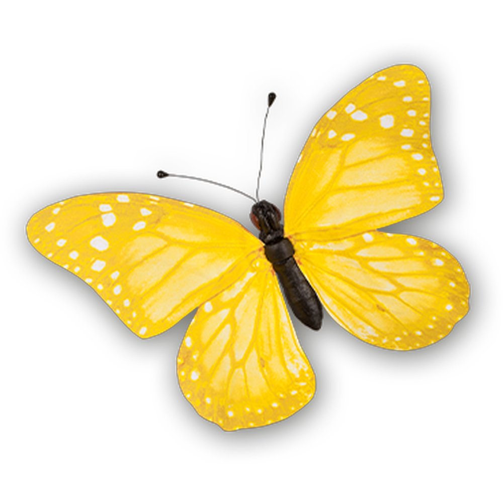 papillon