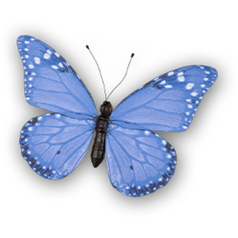 papillon