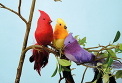 [0689730] bird 'cardinal'