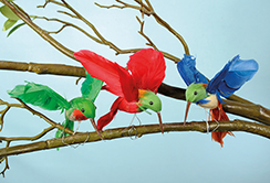 flying bird 'hummingbird' 