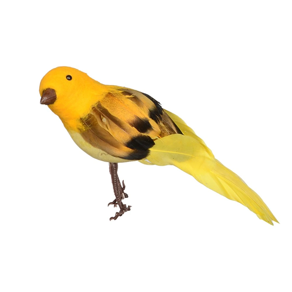 oiseau 'robin'