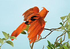 vogel 'robin' vliegend