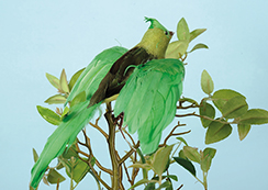 oiseau 'robin' volant