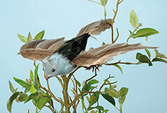 [0689718] flying bird 'robin' (blue/gray)