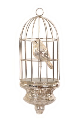 [0037924] birdcage with bird