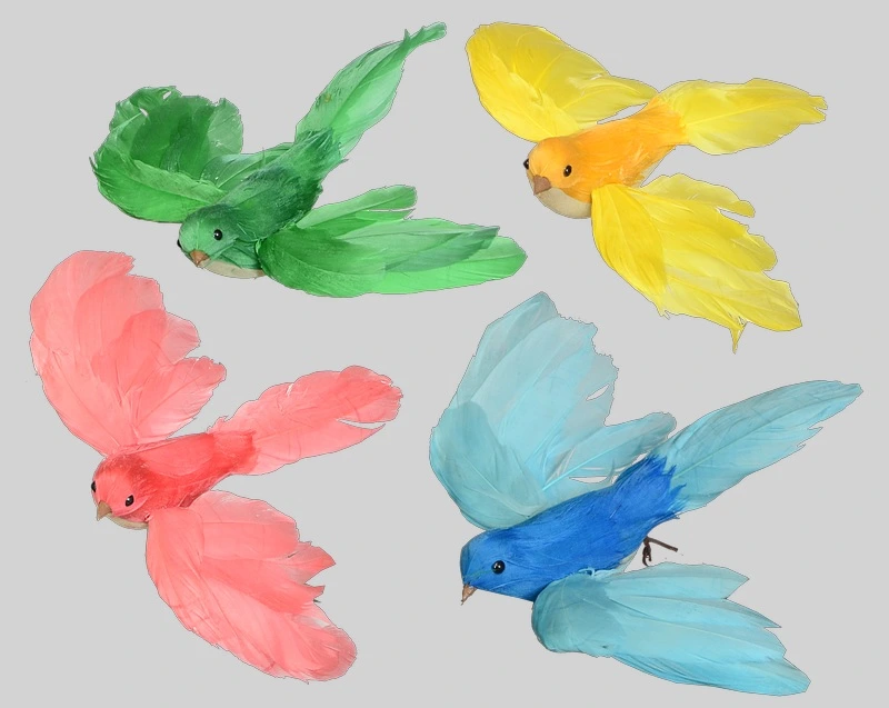 oiseaux tropicaux volant