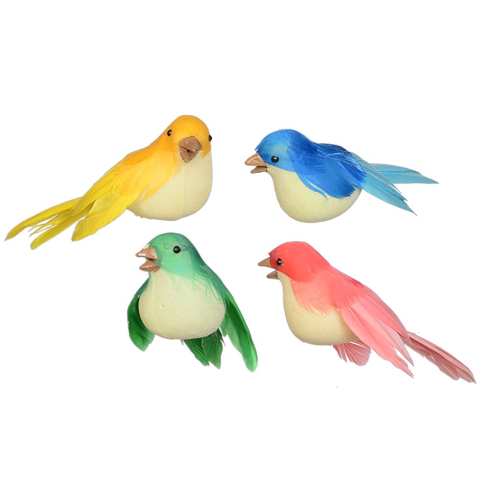 vogels zittend 'tropical'