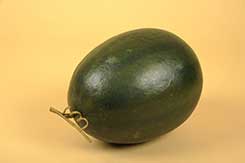 pastèque