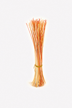 botte de branches de saul