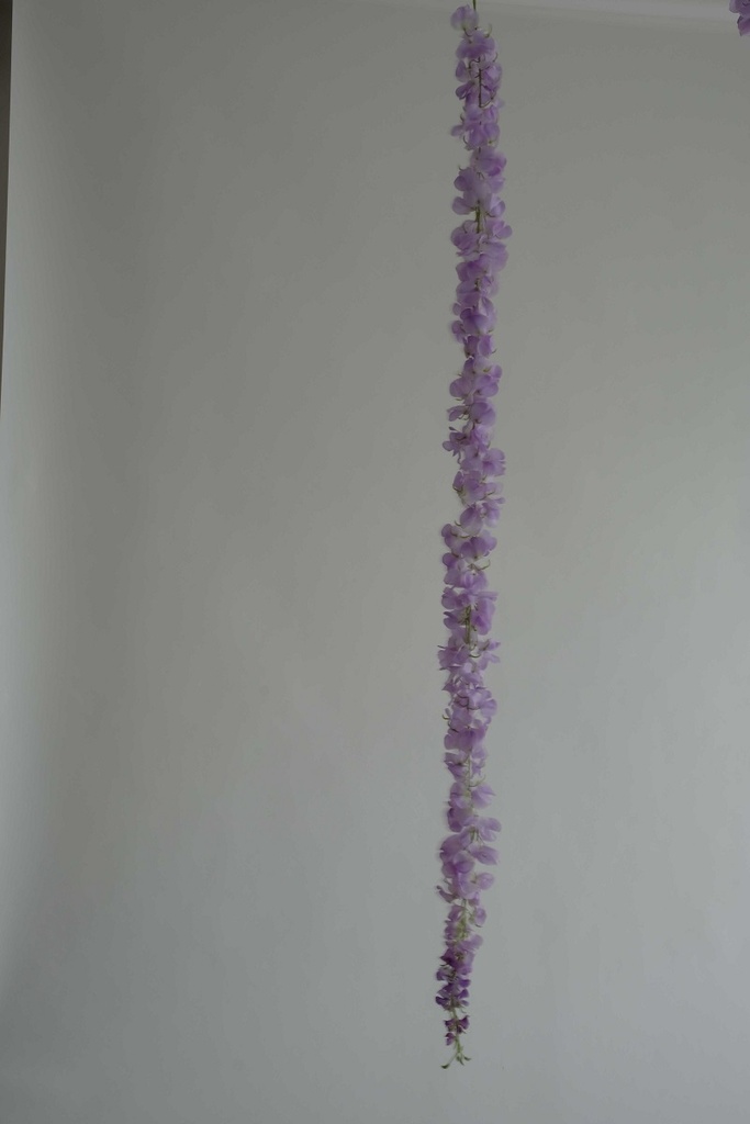 wisteriaguirlande