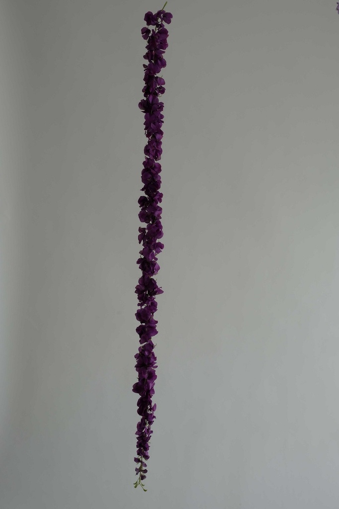 guirlande wisteria