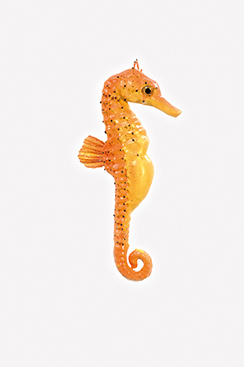 [0682106] hippocampe
