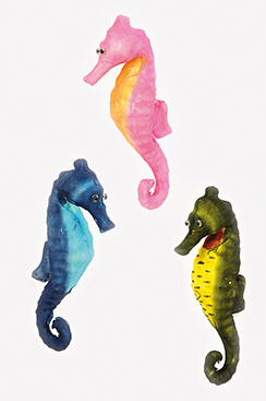 [0684505] hippocampes