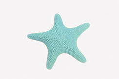 [0681925] étoile de mer 'paper' (bleu clair/vert)