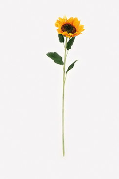 [0688427] sunflower (Ø22xh.90cm)