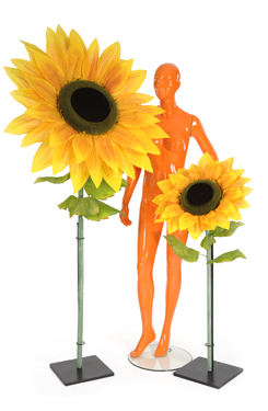 sunflower 'XL'