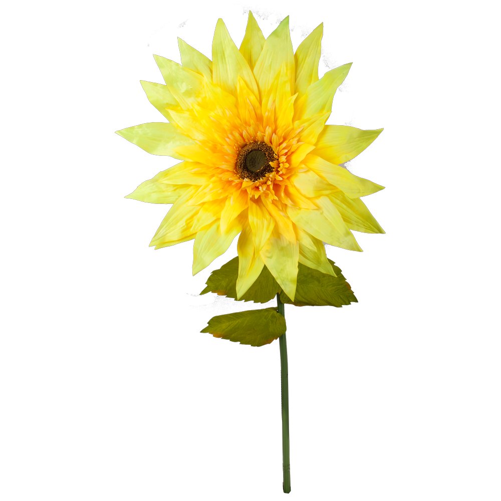 sunflower XL