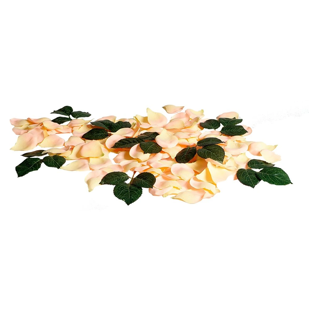 feuilles de roses