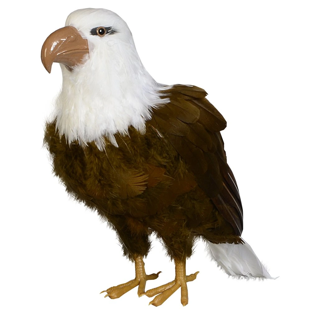 [0684957] eagle
