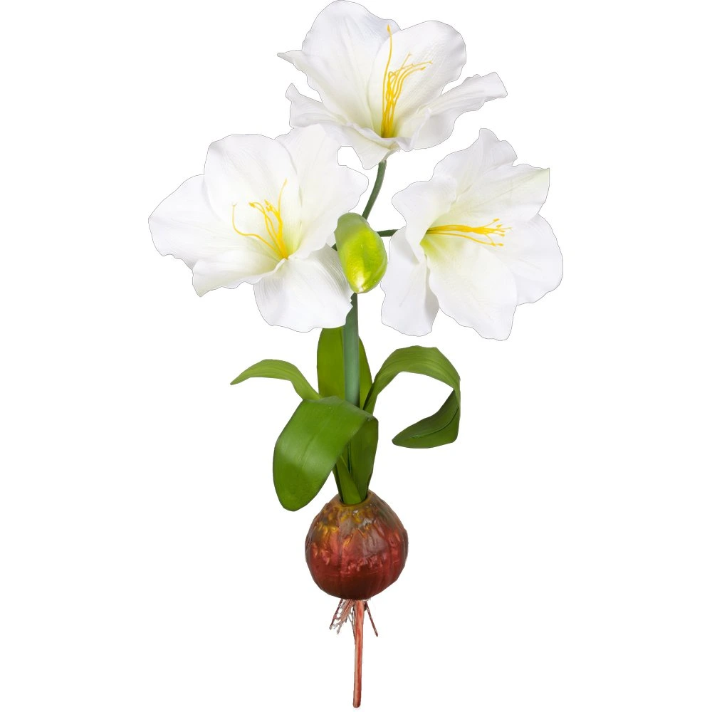 [0682356] amaryllis XL