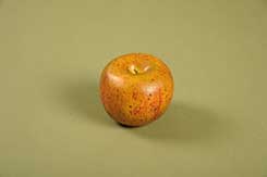 [0689006] apple (yellow/red)