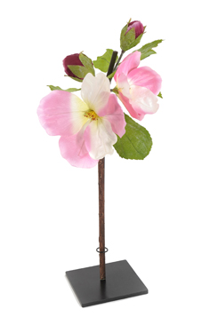[0682271] fleurs de pommier XXL (rose)