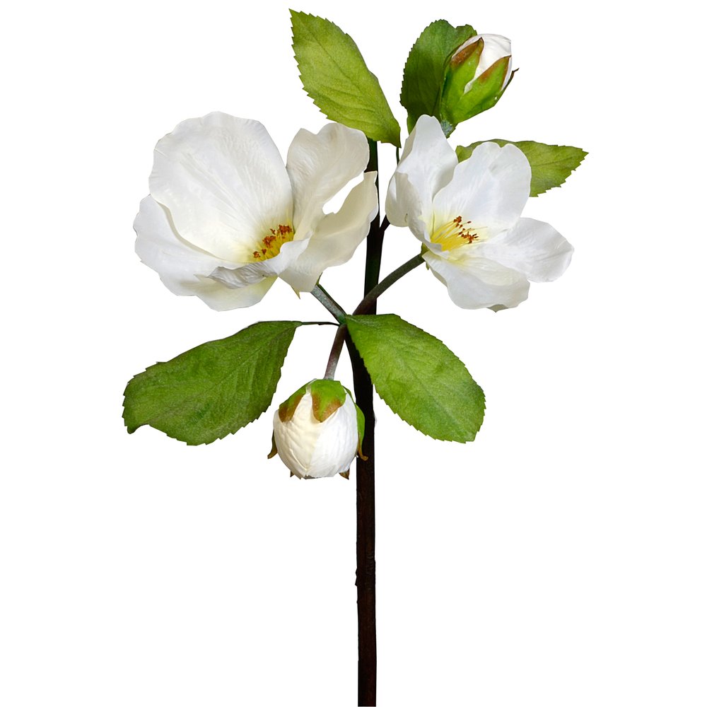 fleurs de pommier XXL