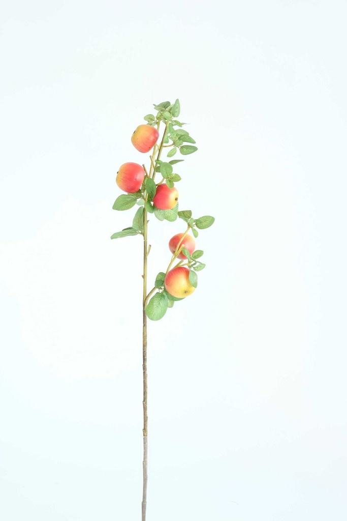 [0689123] appeltak (geel/rood, kunststof)