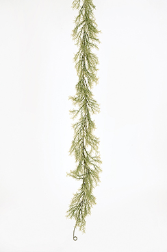 [0683182] asparagusguirlande
