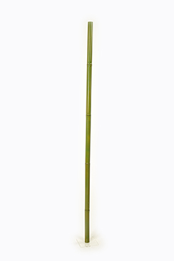 [0682257] bamboestok pvc (Ø4x180cm)