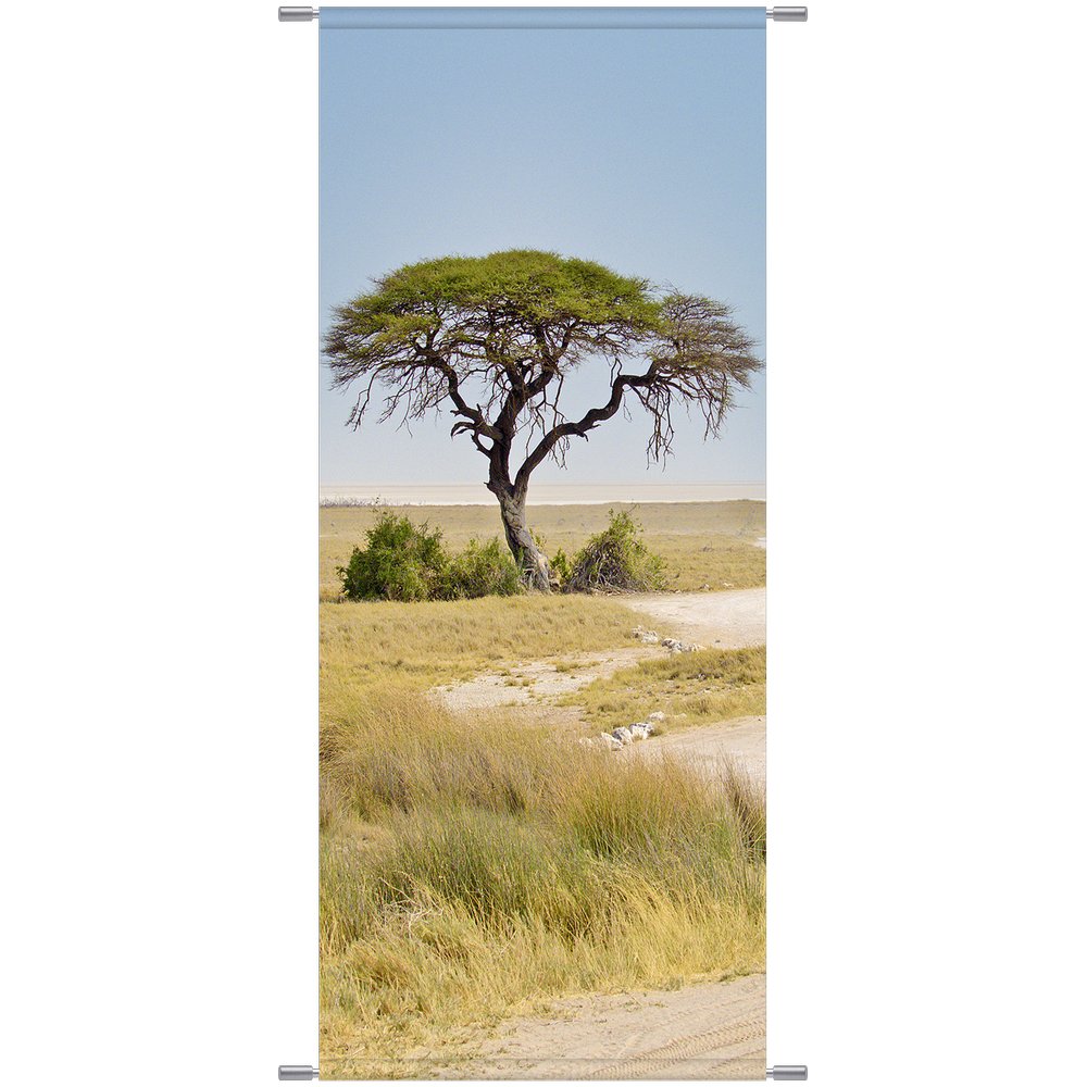 [0683965] banner 'afrique'